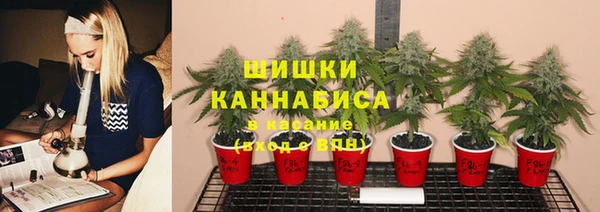 стафф Володарск