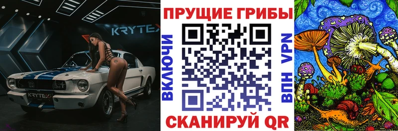 Псилоцибиновые грибы мицелий  закладки  Дудинка 